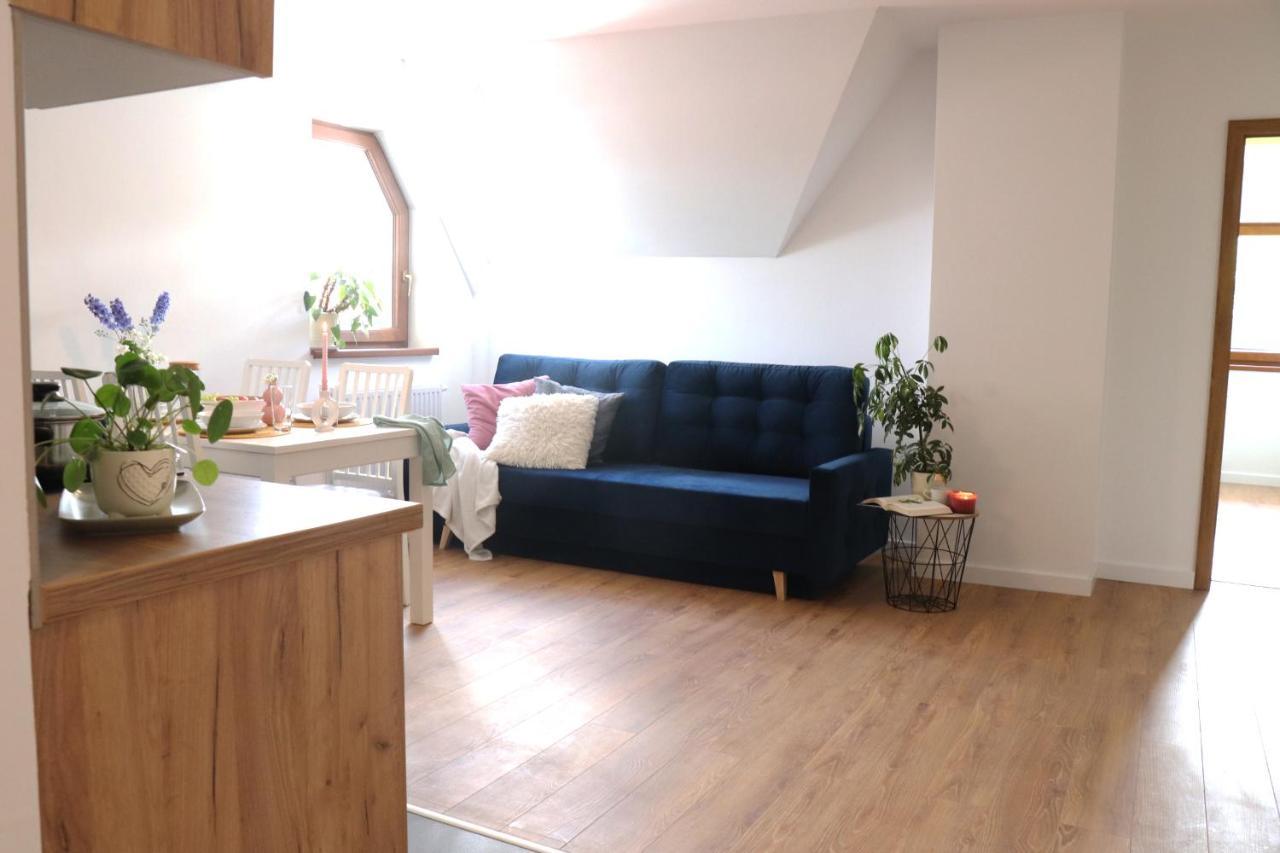 Apartamenty Pardalowka 50 Zakopane Eksteriør billede