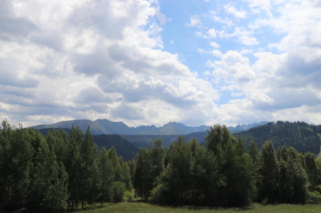 Apartamenty Pardalowka 50 Zakopane Eksteriør billede